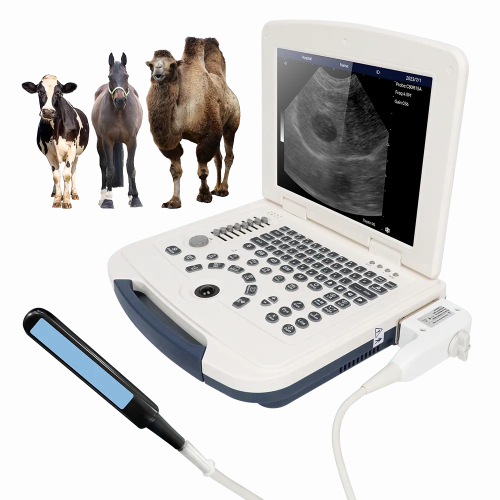 VU10 Laptop Veterinary Ultrasound